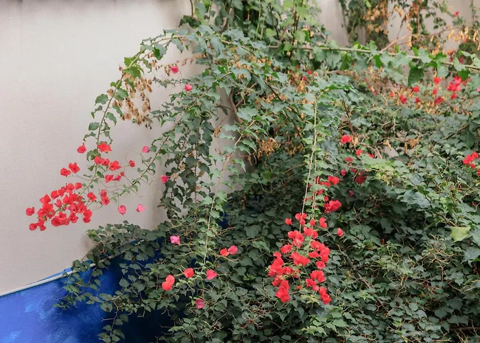 Διαμέρισμα Housalia Gracia